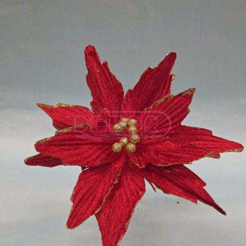 crvena novogodišnja grana za dekoraciju