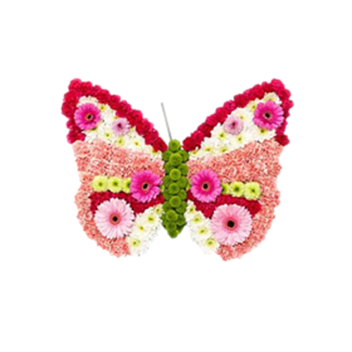Oasis mini Butterfly