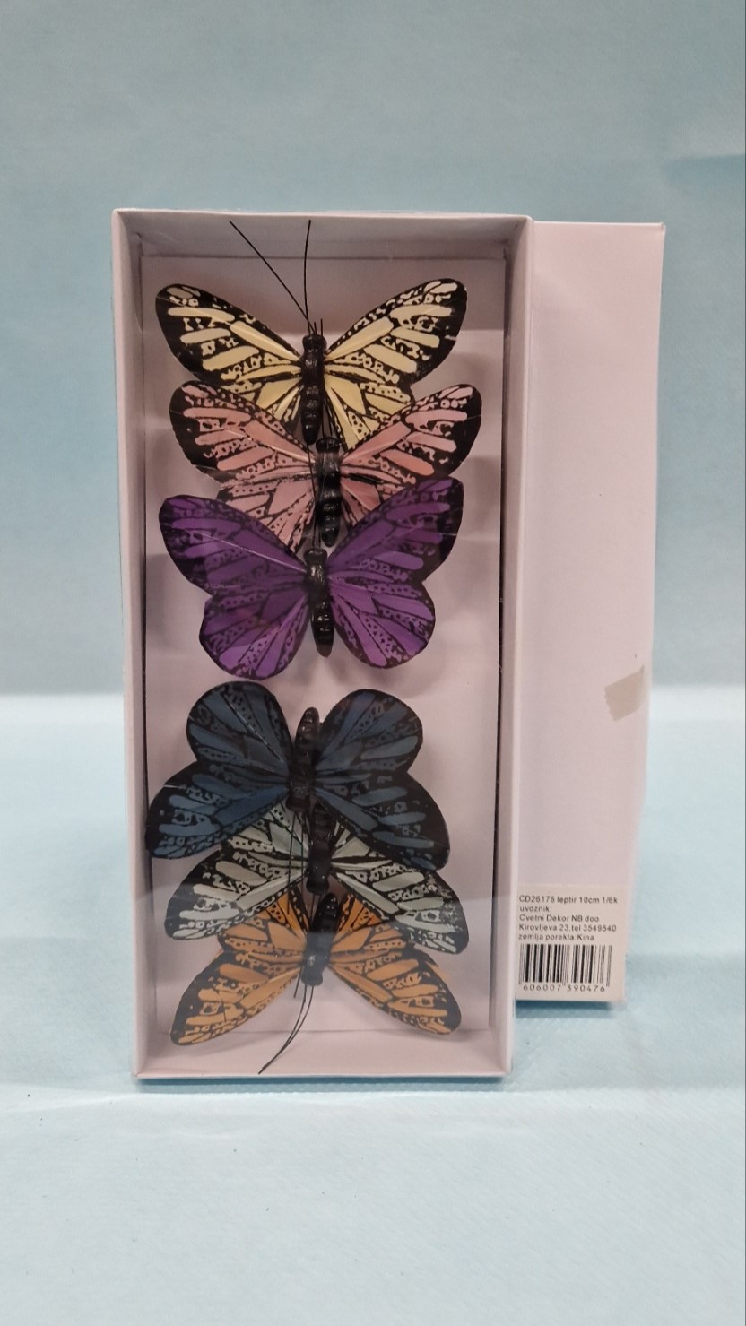 leptiri raznih boja u kutiji