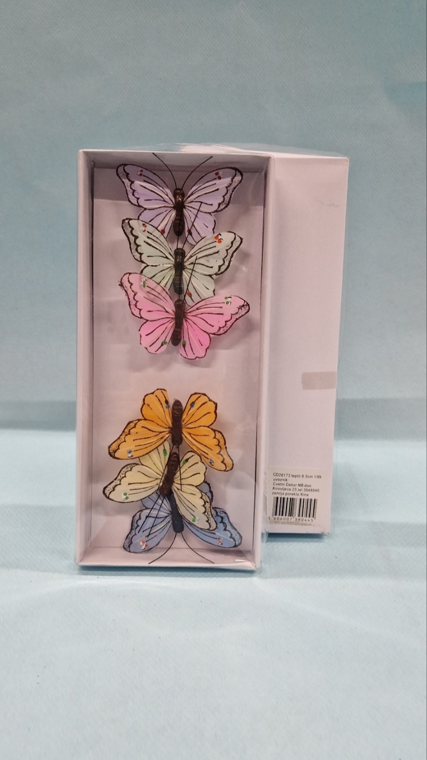 leptiri svetlih boja u kutiji