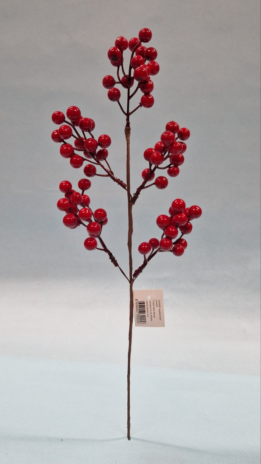 Novogodišnja grana sa crvenim bobicama