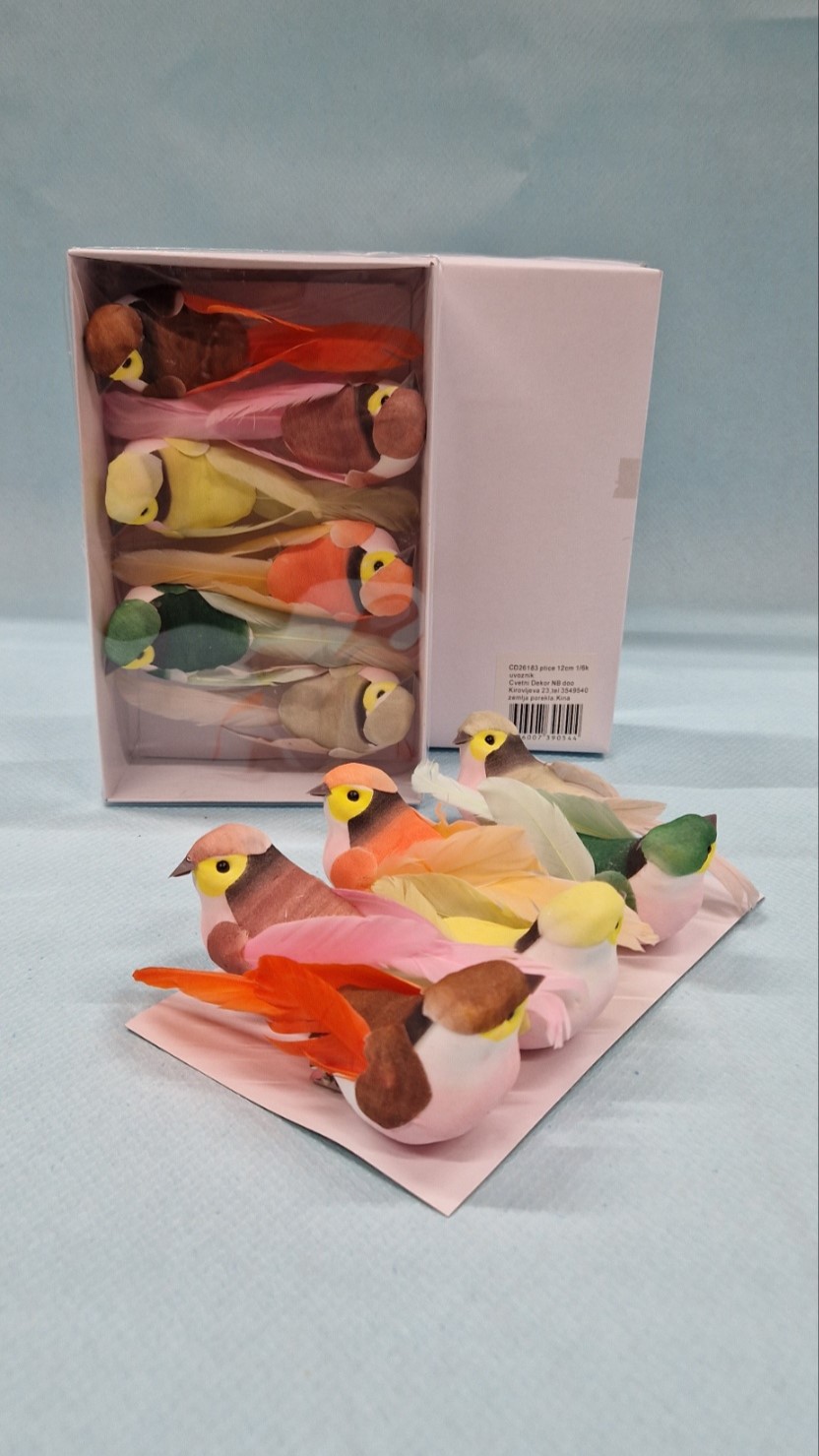 ptice tropskih boja u kutiji